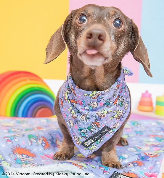 Show full view: Sassy Woof Nickelodeon Rugrats Dog Bandana, Purple, Small slide 6 of 6