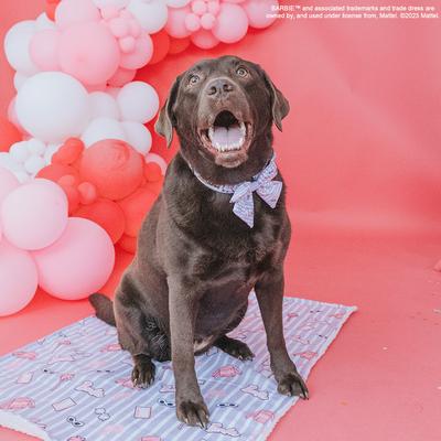 Show full view: Sassy Woof BARBIE Closet Goals Sailor Bow Dog Collar Accessory, Purple slide 6 of 6
