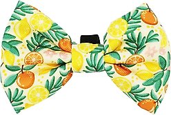 Sassy Woof Zest Friends Bowtie Cat Collar Accessory, Yellow