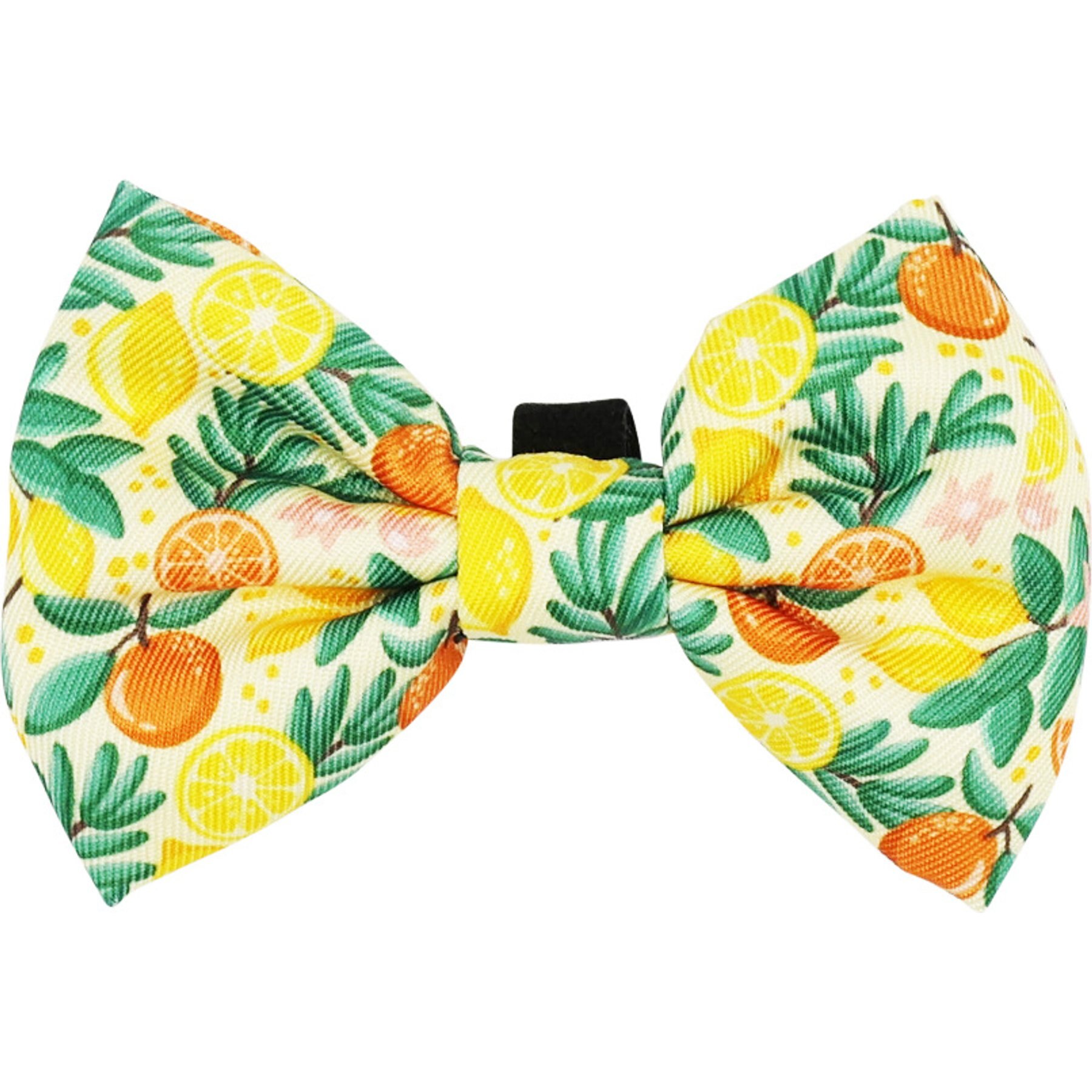 Sassy Woof Zest Friends Bowtie Cat Collar Accessory, Yellow