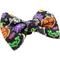Show in main carousel: Sassy Woof Neon Frights Bowtie Cat Collar Accessory, Black slide 3 of 6