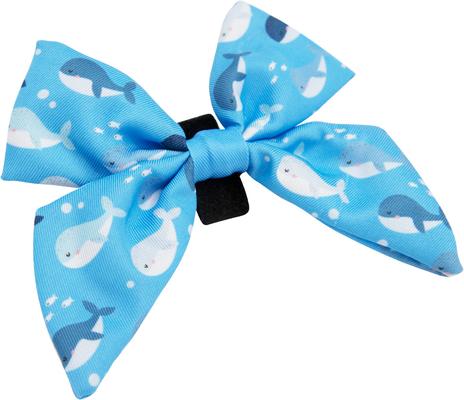 Show full view: Sassy Woof Might as Whale Sailor Bow Dog Collar Accessory, Blue slide 2 of 5