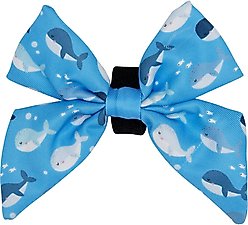 Sassy Woof Might as Whale Sailor Bow Dog Collar Accessory, Blue