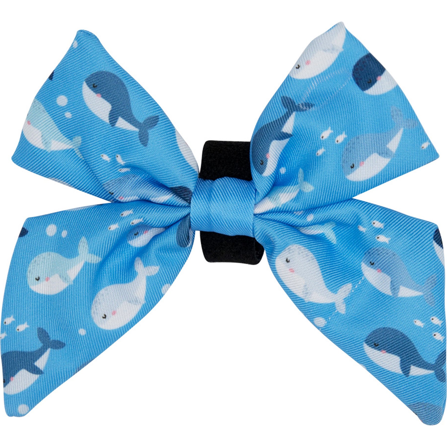 Sassy Woof Might as Whale Sailor Bow Dog Collar Accessory, Blue