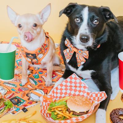 Show full view: Sassy Woof Garfield Sailor Bow Dog Collar Accessory, Orange slide 5 of 5