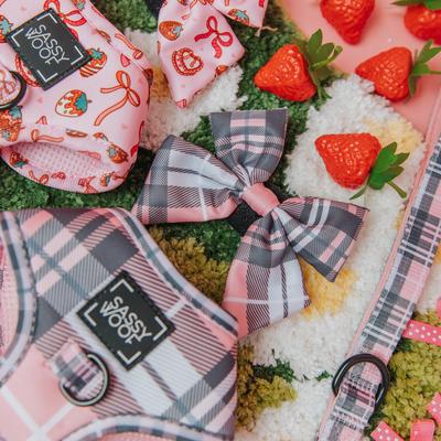 Show full view: Sassy Woof Pawberry Sailor Bow Dog Collar Accessory, Pink slide 4 of 6