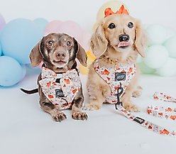 Sassy Woof P.S. I Woof You Sailor Bow Dog Collar Accessory, Beige slide 2 of 5
