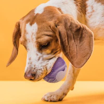 Show full view: Dogline Euro Ball Dog Toy, Purple, 2.75-in slide 5 of 8