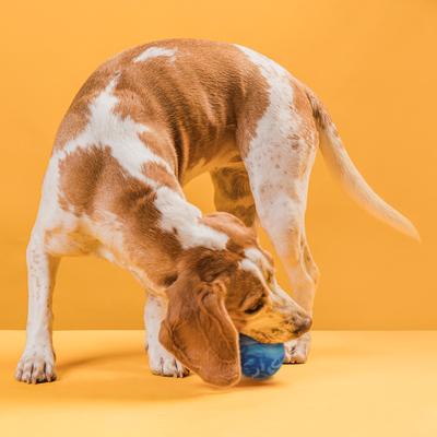 Show full view: Dogline Euro Ball Dog Toy, Blue, 2.36-in slide 7 of 9