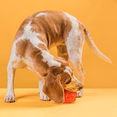 Show full view: Dogline Bur Ball Dog Toy, Red, 2-in slide 6 of 8