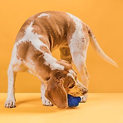 Dogline Bur Ball Dog Toy, Blue, 2-in slide 2 of 8