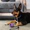 Show in main carousel: Dogline Euro Ball Rope Dog Toy, Purple, 2.75-in slide 9 of 10