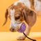 Show in main carousel: Dogline Euro Ball Rope Dog Toy, Purple, 2.75-in slide 7 of 10