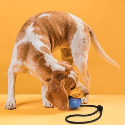 Show full view: Dogline Euro Ball Rope Dog Toy, Blue, 2.75-in slide 7 of 9