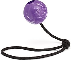 Dogline Euro Ball Rope Dog Toy, Purple, 2.75-in