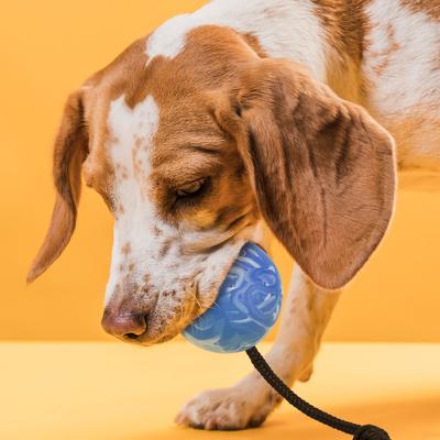 Show full view: Dogline Euro Ball Rope Dog Toy, Blue, 2.75-in slide 6 of 9