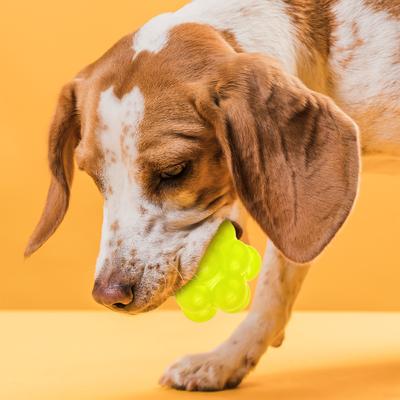 Show full view: Dogline Bur Ball Dog Toy, Yellow, 2-in slide 5 of 8