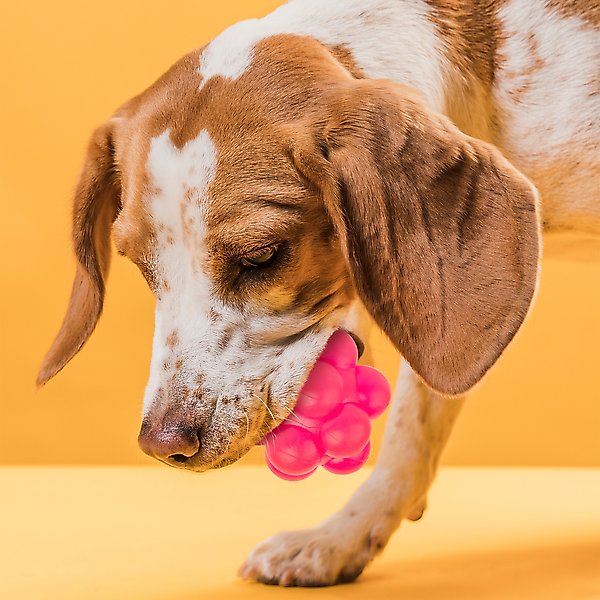 Show full view: Dogline Bur Ball Dog Toy, Pink, 2-in slide 5 of 8