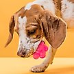 Show in main carousel: Dogline Bur Ball Dog Toy, Pink, 2-in slide 5 of 8