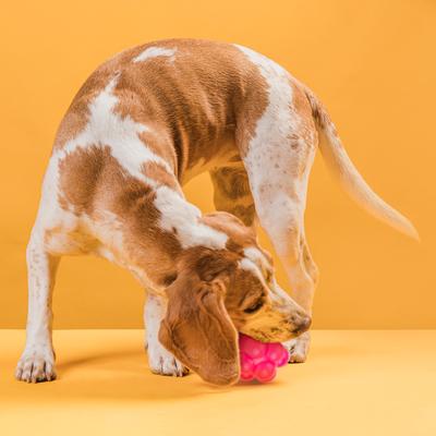 Show full view: Dogline Bur Ball Dog Toy, Pink, 2-in slide 6 of 8