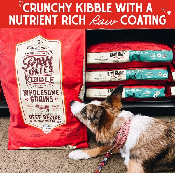 STELLA CHEWY'S Raw Coated Wholesome Grain Grass-Fed Beef Recipe