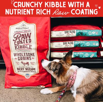 Show full view: Stella & Chewy's Raw Coated Wholesome Grain Grass-Fed Beef Recipe Small Breed Dry Dog Food, 3.5-lb bag slide 3 of 11