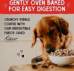 Stella & Chewy's Raw Coated Wild-Caught Whitefish Recipe Grain-Free Dry Dog Food, 22-lb bag slide 2 of 9
