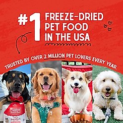 Stella & Chewy's Raw Coated Grass-Fed Beef Recipe Grain-Free Dry Dog Food, 22-lb bag slide 2 of 9