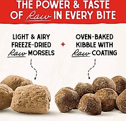 Stella & Chewy's Raw Blend Wholesome Grains Cage-Free Recipe Dry Dog Food, 22-lb bag slide 2 of 9