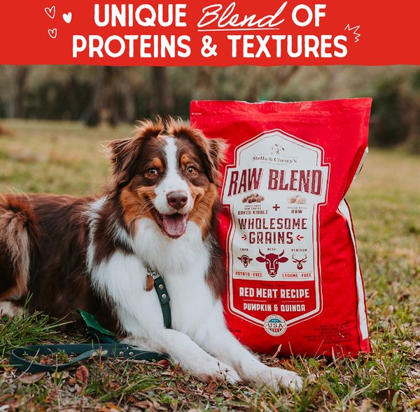 Stella & Chewy's Raw Blend Wholesome Grains Cage-Free Recipe Dry Dog Food