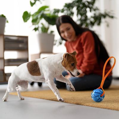 Show full view: Dogline Spiral Ball with Handle Dog Toy, Blue/Orange, 2-in slide 9 of 9