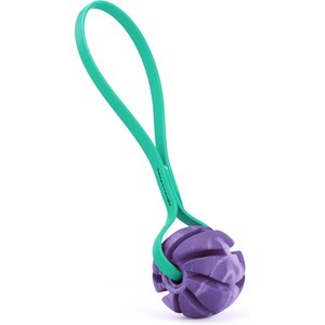 Dogline Spiral Ball with Handle Dog Toy, Purple/Blue, 2-in