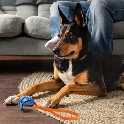 Show full view: Dogline Spiral Ball with Handle Dog Toy, Blue/Orange, 2-in slide 8 of 9