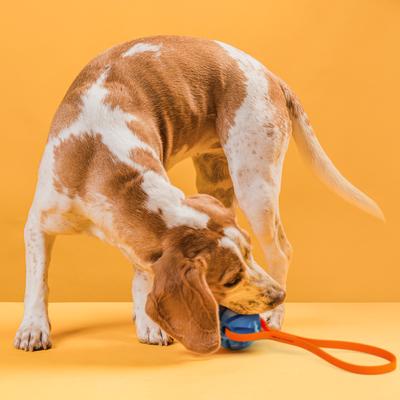 Show full view: Dogline Spiral Ball with Handle Dog Toy, Blue/Orange, 2-in slide 7 of 9
