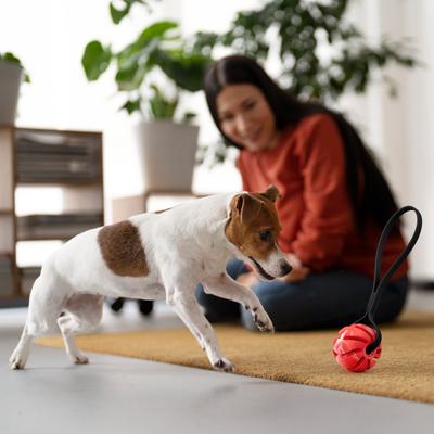 Show full view: Dogline Spiral Ball with Handle Dog Toy, Red/Black, 2.75-in slide 8 of 8