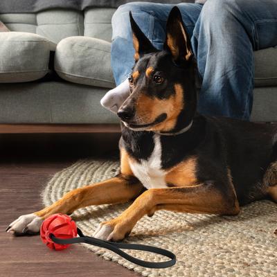 Show full view: Dogline Spiral Ball with Handle Dog Toy, Red/Black, 2.75-in slide 7 of 8