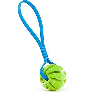 Dogline Spiral Ball with Handle Dog Toy, Green/Blue, 2.75-in
