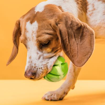 Show full view: Dogline Spiral Ball Dog Toy, Green, 2.36-in slide 6 of 8