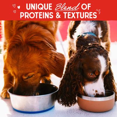 Show full view: Stella & Chewy's Raw Blend Wholesome Grains Cage-Free Recipe Dry Dog Food, 22-lb bag slide 3 of 11