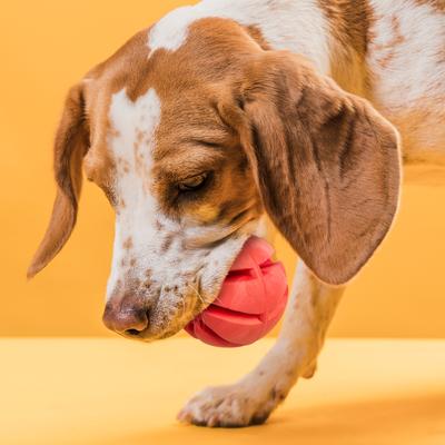 Show full view: Dogline Spiral Ball Dog Toy, Red, 2-in slide 6 of 8