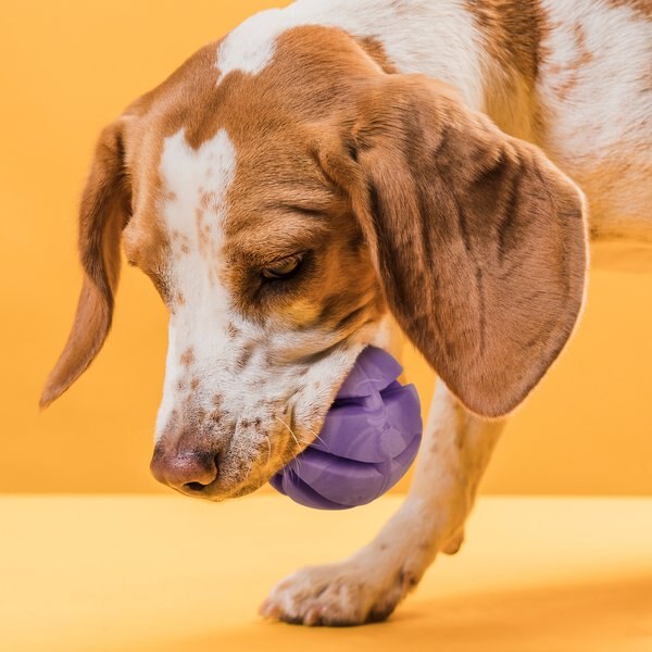 Dogline Euro Ball Dog Toy