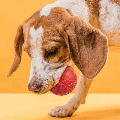 Show full view: Dogline Euro Ball Dog Toy, Red, 2.75-in slide 5 of 8