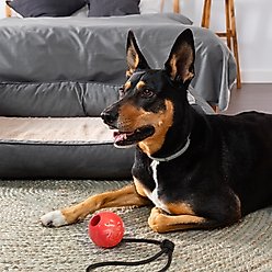 Dogline Euro Ball Rope Dog Toy, Red, 2.75-in slide 2 of 8