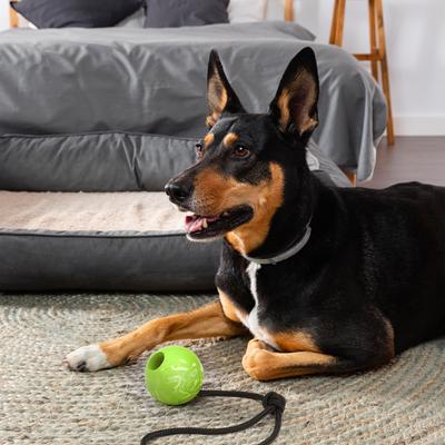 Show full view: Dogline Euro Ball Rope Dog Toy, Green, 2.36-in slide 8 of 9