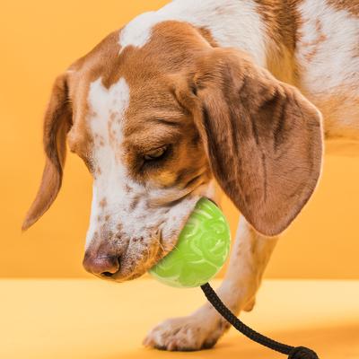 Show full view: Dogline Euro Ball Rope Dog Toy, Green, 2.36-in slide 6 of 9