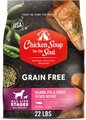 Chicken Soup for the Soul Grain-Free Salmon, Pea & Sweet Potato Recipe Dry Dog Food, 22-lb bag