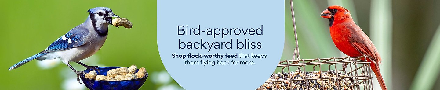 Bird-approved backyard bliss Shop flock-worthy feed that keeps them flying back for more. 