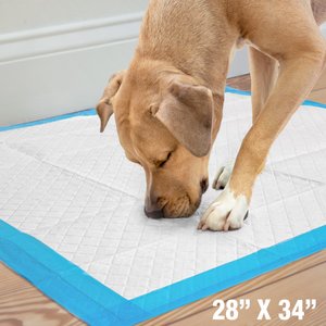 Wee-Wee Pads Superior Performance with Runoff Edge Guard Dog Pee Pads, X-Large, 28 x 34-in, 40 count