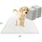 Show in main carousel: Wee-Wee Super Absorbent Dog Pee Pads with Insta-Rise Border, 22 x 23-in, 50 count slide 7 of 12