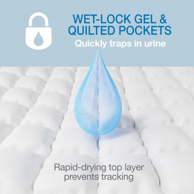 Show full view: Wee-Wee Super Absorbent Dog Pee Pads with Insta-Rise Border, 22 x 23-in, 50 count slide 4 of 12